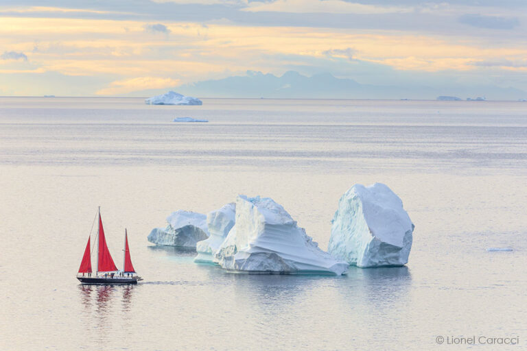 Photographie d'un Voilier au milieu des icebergs de la baie de Disko, dans la mer de Baffin, au Groenland. Photo de Paysage de Mer de Lionel Caracci, qui expose par ailleurs ses décorations murales chez Krom Galerie Lyon.